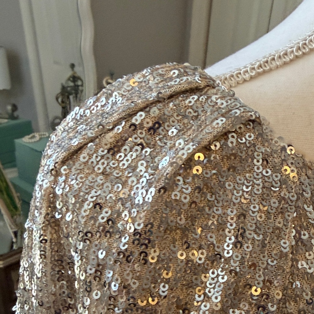 Cable & Gauge ❤️ Silver Sequin Statement Top - Sz M NWT - Picture 4 of 11